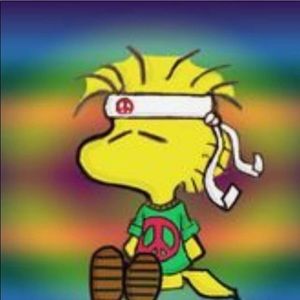 Meet your Posher, Lynn